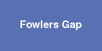 Fowlers Gap